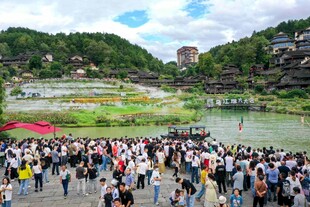 乌江寨景区热闹景象