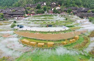 乌江寨的多彩农田