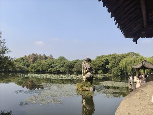 湖畔亭边的静谧水乡景致