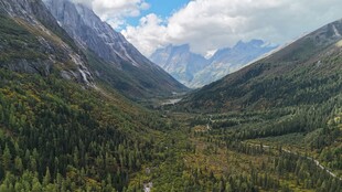 山谷森林间的壮丽山景