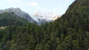 山间林海与远处雪山美景
