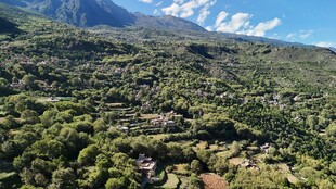 俯瞰葱郁山林景观