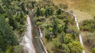 空中俯瞰蜿蜒于林间的道路