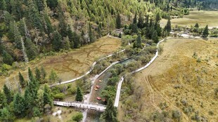 山间蜿蜒小路的美丽景致