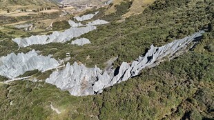 高山间的冰雪与绿色景观