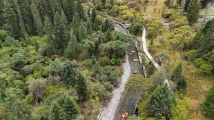 山间蜿蜒公路穿行于森林