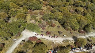 山间蜿蜒步道游人漫步