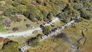 俯瞰山间蜿蜒道路景观