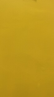 纯黄色背景画面