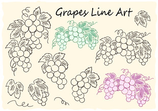 葡萄线条艺术插画
