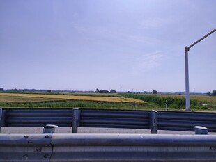 公路旁的开阔田野景观