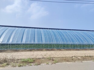 户外大型透明拱形温室