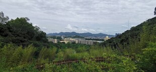 科技公园远眺随拍 