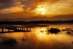 夕阳下的静谧湖畔栈桥