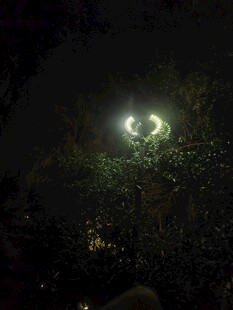 夜空中闪耀的璀璨灯光