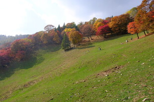 秋日山坡多彩美景