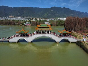 中式古桥横跨绿水湖畔