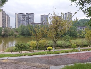 城市湖畔风景宜人