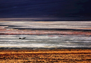 藏区盐湖