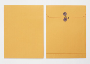 黄色信封展示