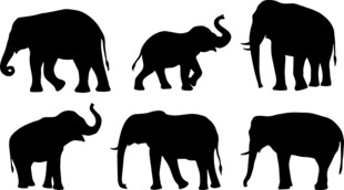 大象剪影集合