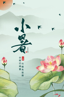 小暑时节荷花绽放图景