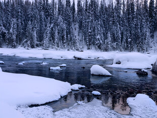 冰封河流