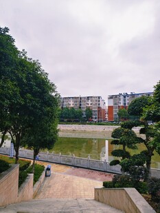 城市河畔绿植环绕