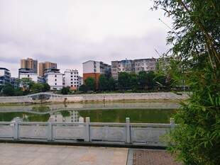 城市湖边景致