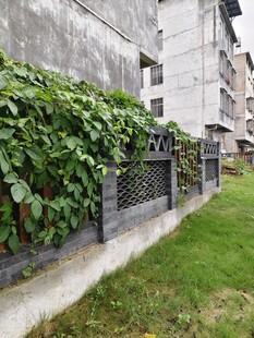 墙边绿植围栏