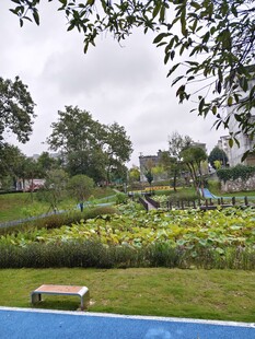 湖畔绿意盎然的自然景致