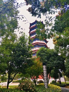 绿树环绕中的宝塔