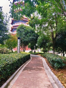 园林小径旁的中式塔楼