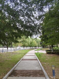 林荫下的静谧步道