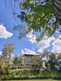 绿树环绕的清新建筑