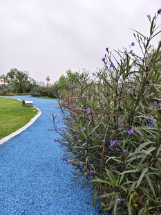 蓝色步道 绿植景观