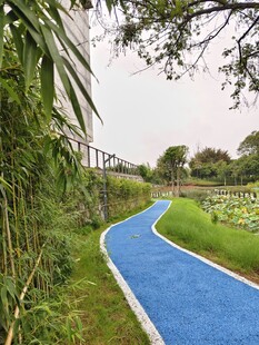 蓝色步道 绿植