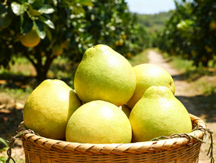果篮中的青皮柚子