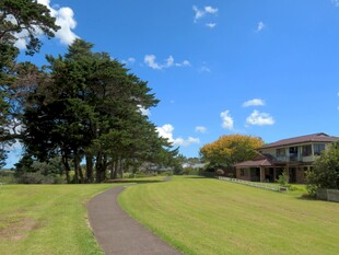 田园小径旁的绿树与房屋