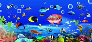 海底世界奇幻景象