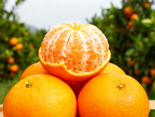 堆叠剥开的橘子