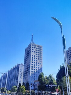 城市高楼与蓝天绿树景观