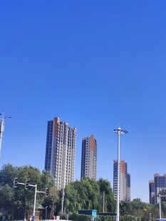 城市高楼与蓝天绿树景观