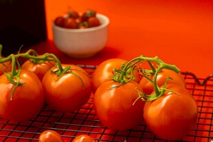 新鲜番茄摆放在红色背景上