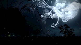 梦幻月夜下的神秘花卉