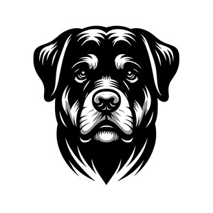 罗威纳犬头像黑白插画