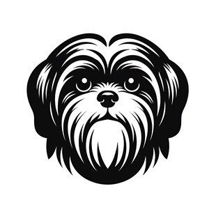 可爱西施犬头像