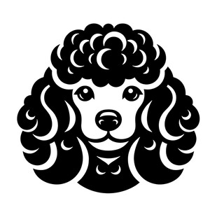 黑白贵宾犬头像图案