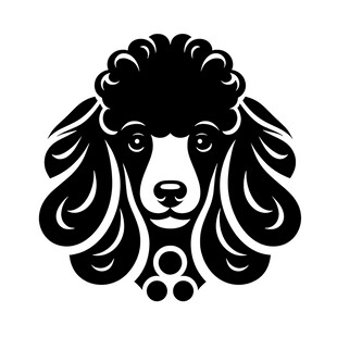 贵宾犬黑白简约头像