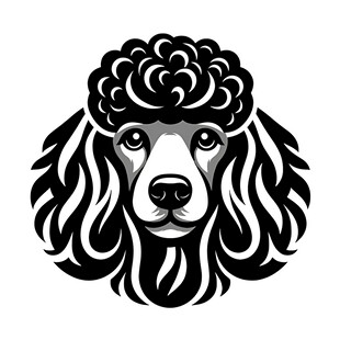 贵宾犬黑白简约头像